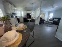 1991 Skyline Mobile Home