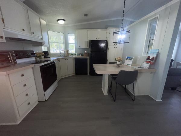 1991 Skyline Mobile Home