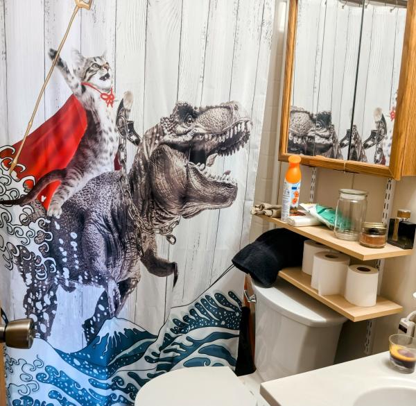 2000 Fortune Homes Mobile Home