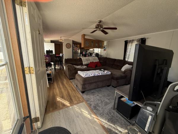 1996 Skyline Mobile Home