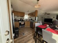 1996 Skyline Mobile Home