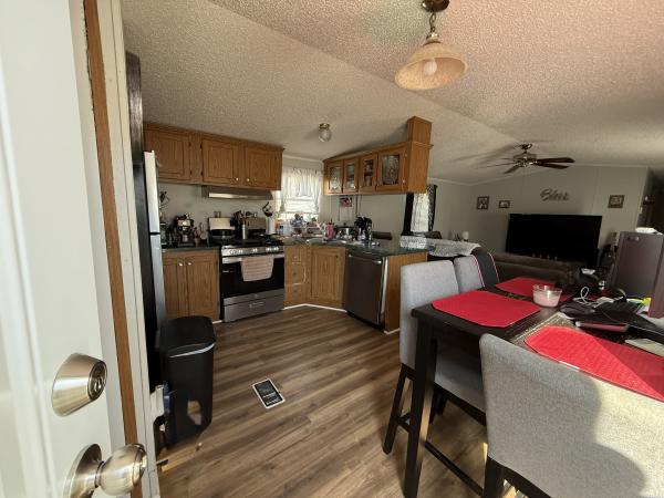 1996 Skyline Mobile Home