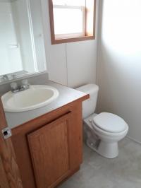 2006 Skyline Mobile Home