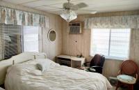 SKYLINE Mobile Home