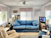 SKYLINE Mobile Home