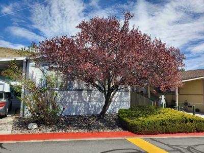 Photo 3 of 34 of home located at 7440 W 4th St #85 Reno, NV 89523