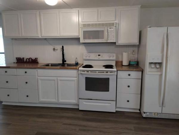 1982 Skyline Manufactured Home