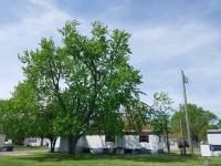 1985 Holly Park Inc. Holly Park Mobile Home