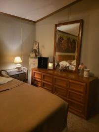 2000 Skyline Manufactured Home