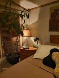 2000 Skyline Manufactured Home