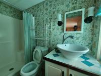 1980 TWIN Manufactured Home