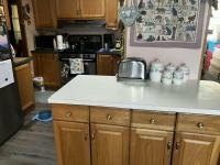 1993 Pine Grove Manufactured Home