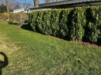1993 Pine Grove Manufactured Home