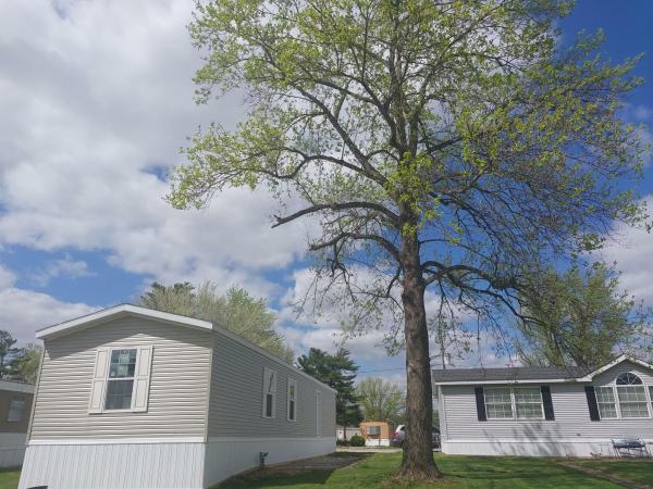 Photo 8 of 2 of home located at 4513 Buddy Blvd Lot 4513-Buddy Evansville, IN 47711