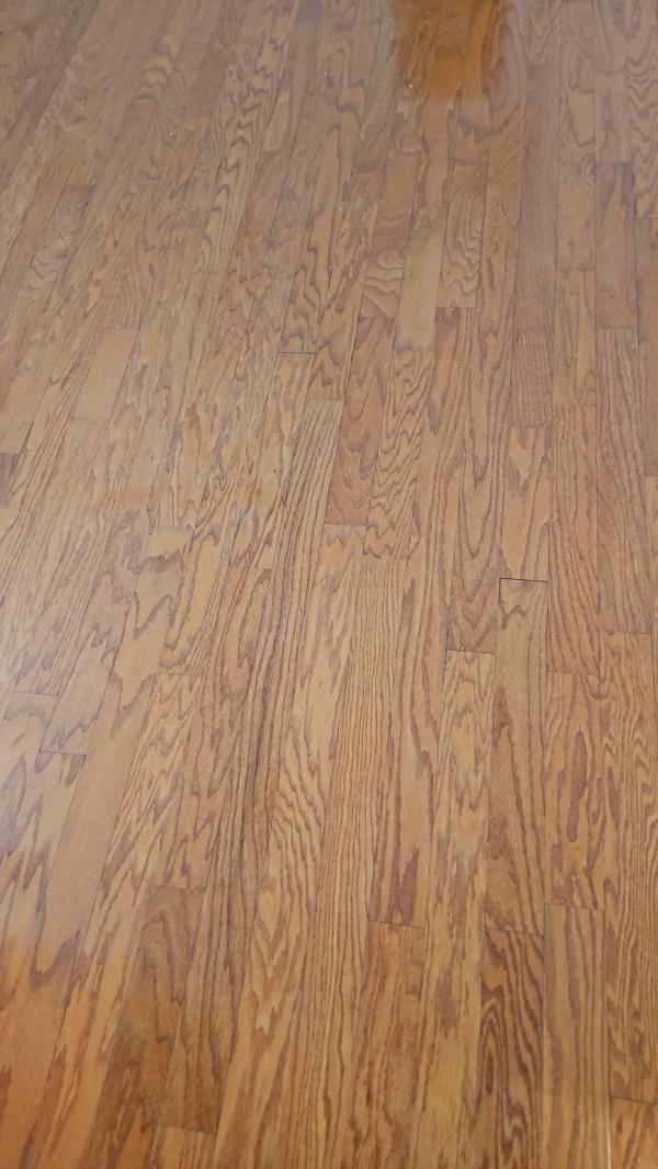 2006 Palm Harbor Doublewide Mobile Home