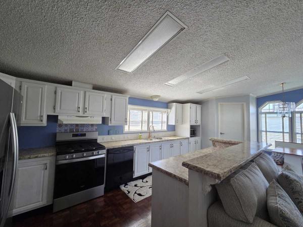 1994 Skyline Manufactured Home
