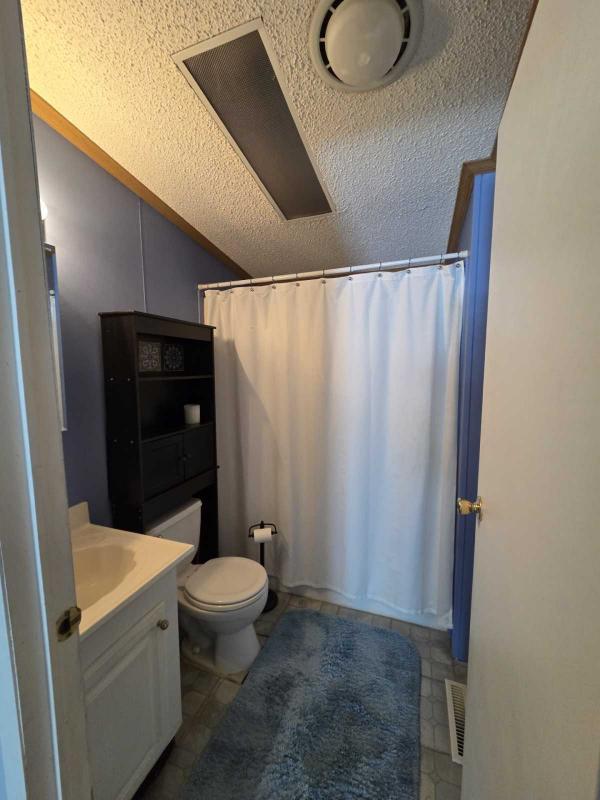 1994 Skyline Manufactured Home