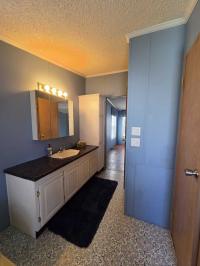 1994 Skyline Manufactured Home
