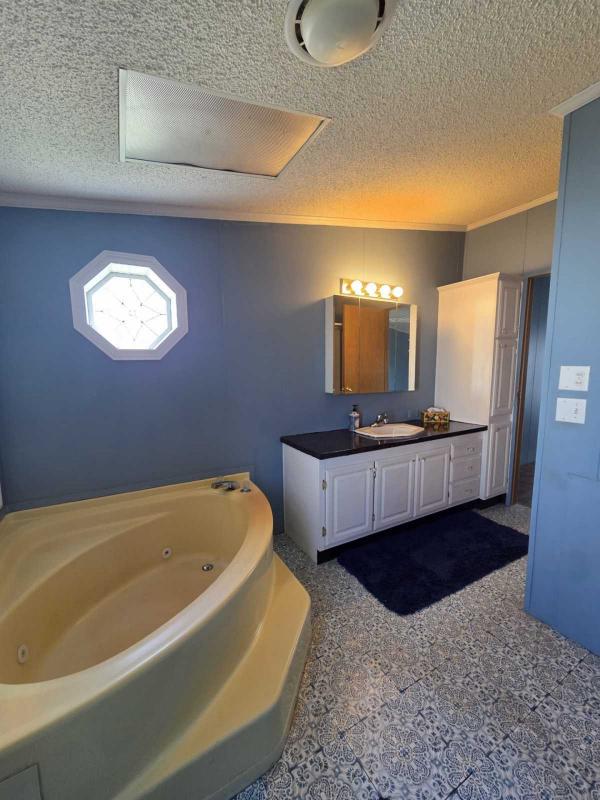 1994 Skyline Manufactured Home