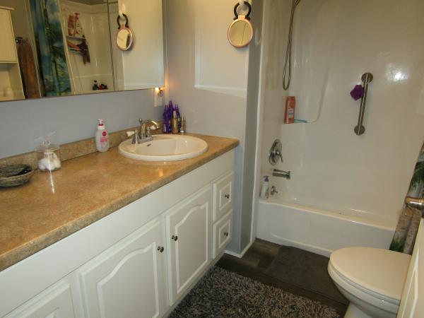 1980 Homes of Merit Twin Manor Mobile Home