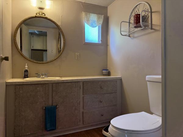 1980 Mobile Home
