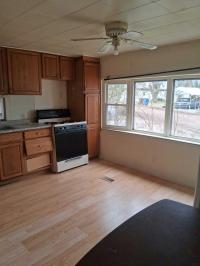 Mobile Home