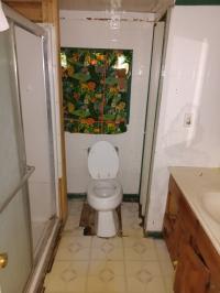 Mobile Home