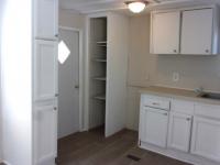 1971 Skyline Manufactured Home