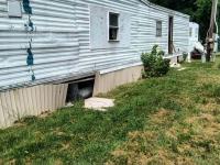 Mobile Home
