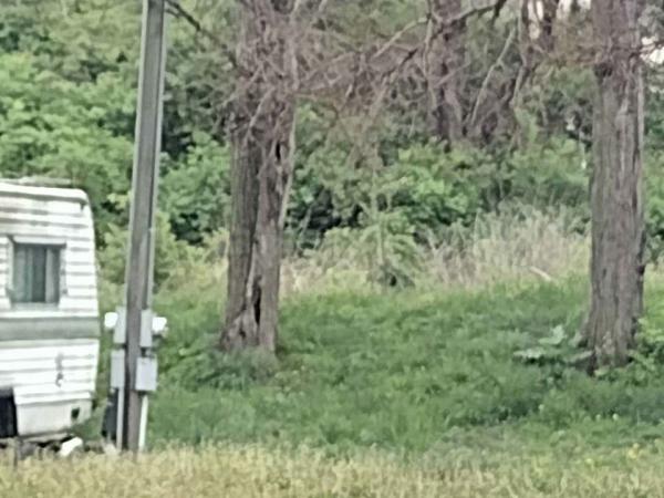  Mobile Home For Rent