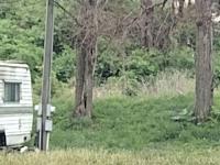 Mobile Home