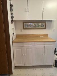 1992 Skyline Mobile Home