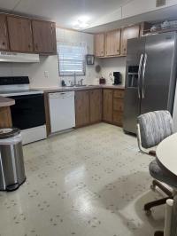 1992 Skyline Mobile Home