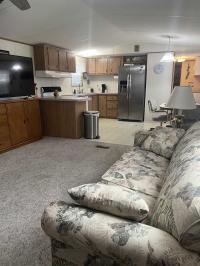 1992 Skyline Mobile Home