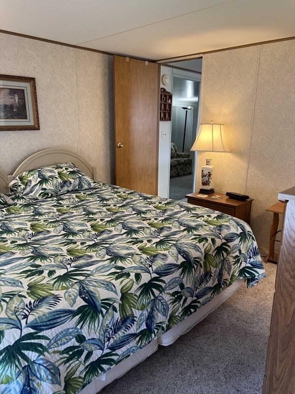 1992 Skyline Mobile Home