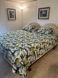 1992 Skyline Mobile Home