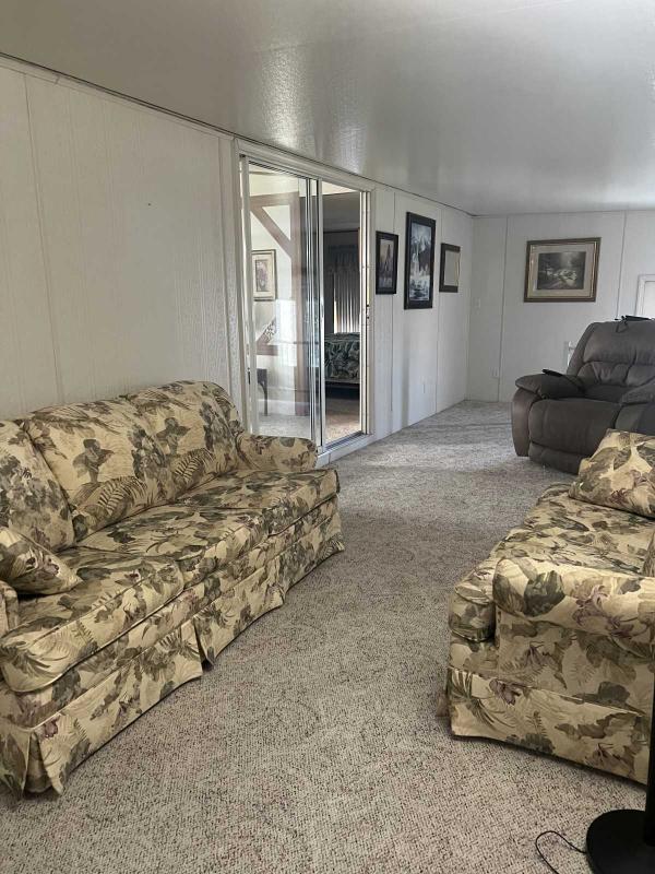 1992 Skyline Mobile Home