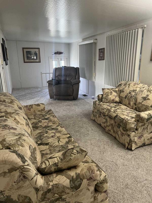 1992 Skyline Mobile Home