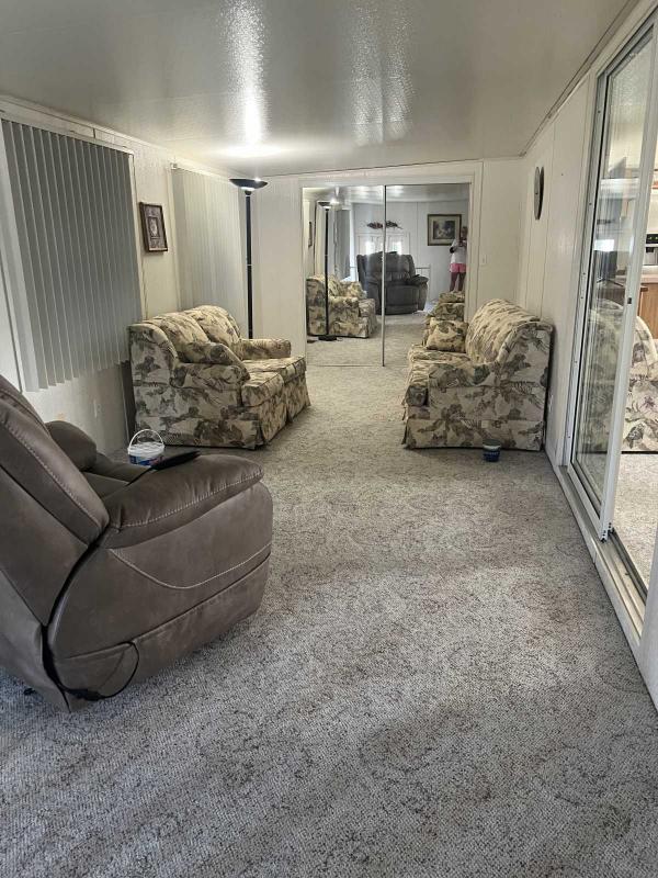 1992 Skyline Mobile Home