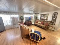 RITZ Mobile Home