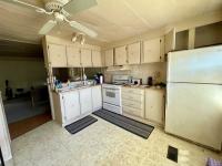 1977 Skyline Mobile Home