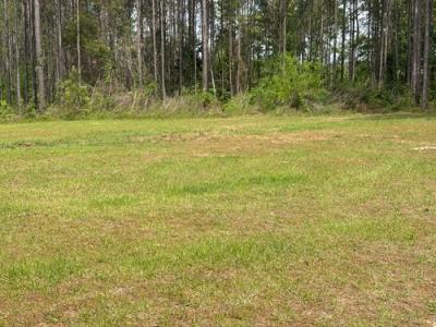 Photo 4 of 20 of home located at 703 Quail Ridge Rd Greenville, AL 36037