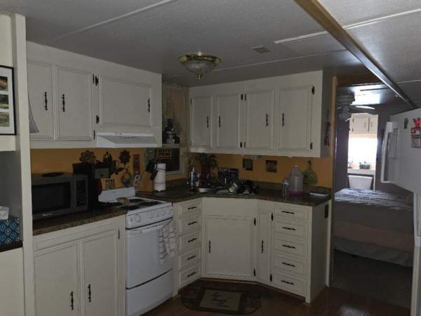 1982 SAND Manufactured Home