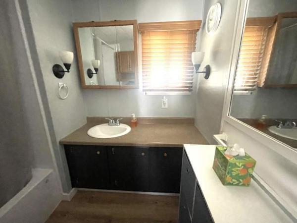 1976 Skyline Manufactured Home