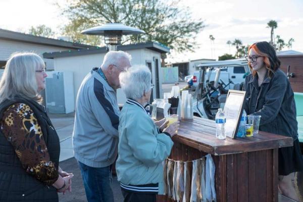 1976 Skyline Manufactured Home