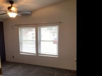1996 Skyline Mobile Home