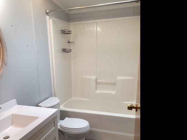 1996 Skyline Mobile Home