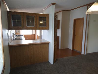 Photo 5 of 8 of home located at 313 E Van Buren Cir Davison, MI 48423