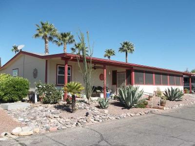 Mobile Home at 15301 N. Oracle Road #35 Tucson, AZ 85739