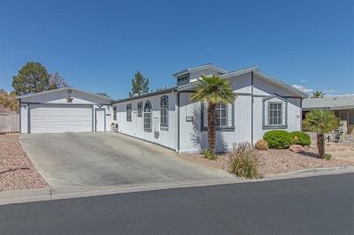 Mobile Home at 101 Brian Dr. Henderson, NV 89074